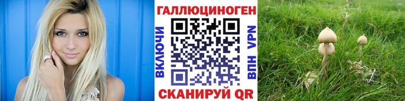 Псилоцибиновые грибы Psilocybine cubensis  МЕГА зеркало  Лобня 